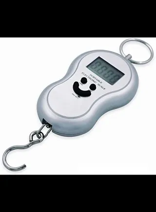 Digital BackLight Luggage Fishing Pocket Weight Hook 
