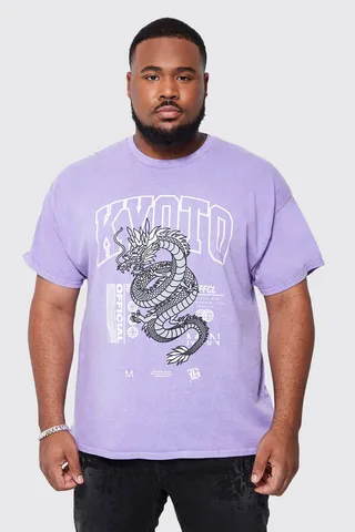 Plus Overdye Dragon Print T-shirt