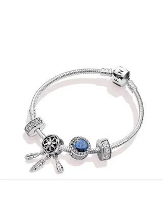 Pandora Dreams of Good Times Bracelet 