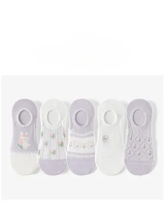 Women Absorb Sweat and Deodorize Socks 5 Pairs High Quality Socks One Size Fits All 