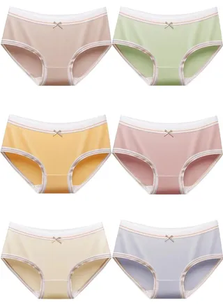 Zeemey 6 Pack Women’s Seamless Cheeky Hipster Underwear No Show Panties Invisibles  Breathable Briefs Soft Stretch Bikini Lingerie 