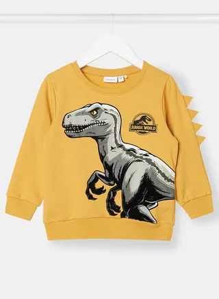 Kids Dino Print Sweatshirt 