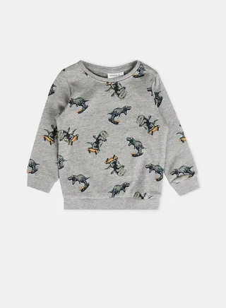 Kids Dino Print Sweatshirt 