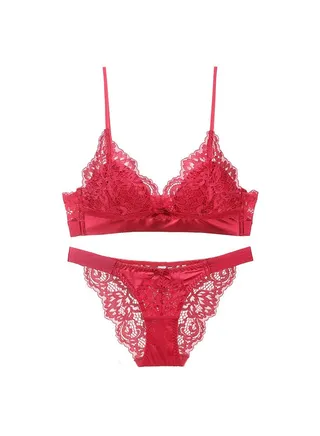Breathable Triangle Thin Cup Lace Bra And Panty Set. 