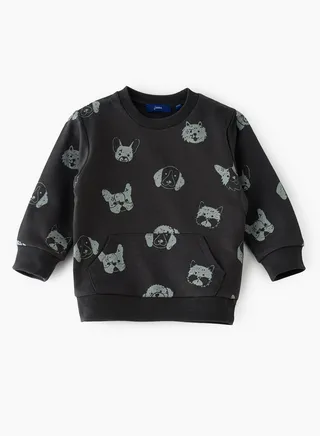 Boys Sweatshirt, Soft and Comfortable Sweatshirt for Boys 
