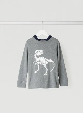 Dino Graphic Print Long Sleeves Hoodie Grey 