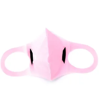 Model 2.2 face mask