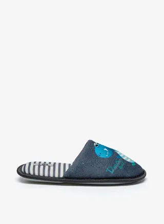 Boys Dinosaur Print Slip On Bedroom Mules By Shoexpress 
