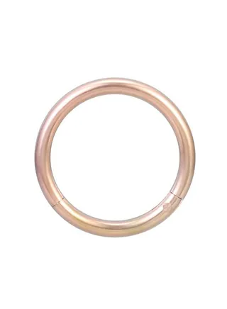 Stainless Steel Hinged Nose Hoop Ring 