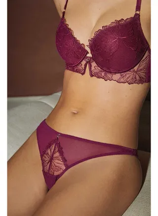 Garnet embroidered tulle classic briefs 