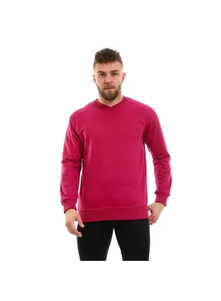 Plain/Basic Long Sleeve Sweatshirt For Men Purple 