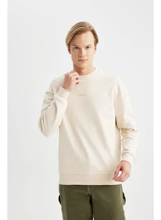 Man Boxy Fit Crew Neck Long Sleeve Knitted Sweat Shirt 