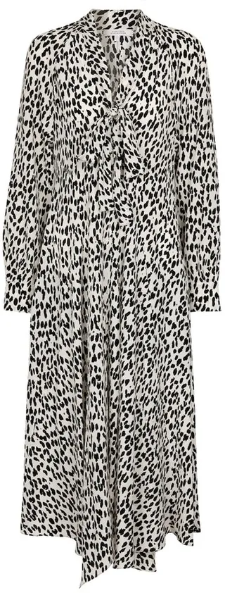 Wild Moment leopard-print silk midi dress