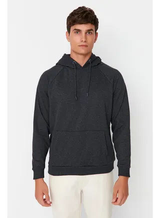 Sweatshirt - Gray - Regular fit 