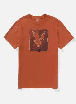 AE Super Soft Logo Graphic T-Shirt 