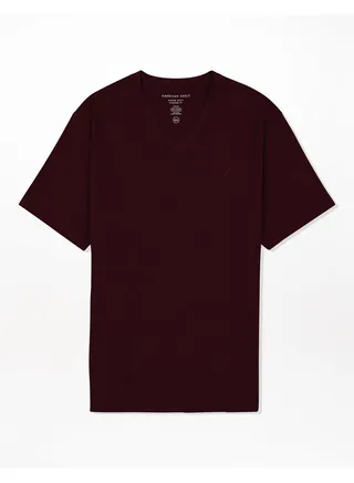 AE Super Soft Icon V-Neck T-Shirt 