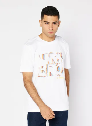 Box Logo Graphic Tee 