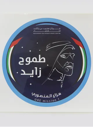 Zayed's Ambition Mission Metal Pin 