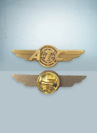 ATC Gold Wings Pin 
