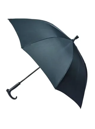 Umbrella Stick Auto / Walking Stick 