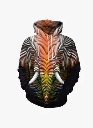 3D Printing Long Sleeve Hoodie Multicolour 