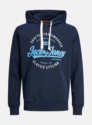 Regular Fit Logo Print Hoodie