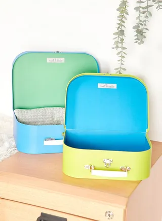 Set Of 2 Monster Suitcases 