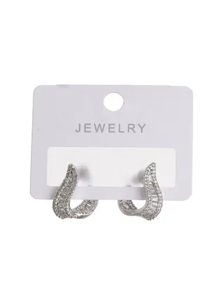 Stainless Steel Earrings 