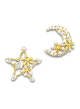 Silver Earrings 