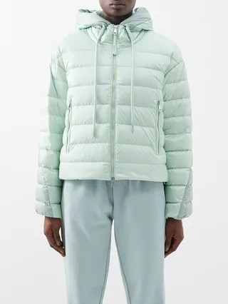 Sylans Quilted Down Hooded Jacket