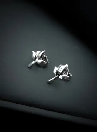 Earring (Prima) cubic zirconia  for women from Butterfly Shenoute - silver color 197 