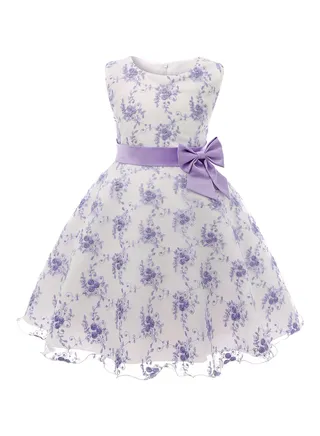 Fashionable And Versatile Children's Princess Dress 
