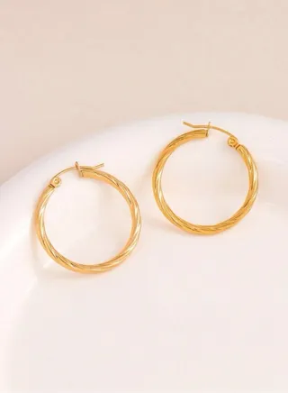 Elegant Stainless Steel Gold Plated Earrings 
