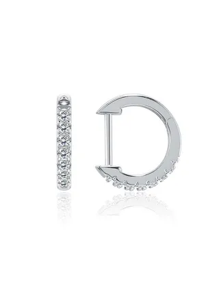 Fashion Ladies Earrings Ake240A 
