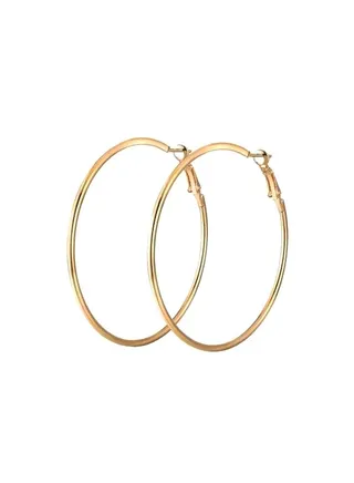 Stainless Steel Hoop Earrings 