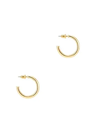 Stylish Hoops Earrings 