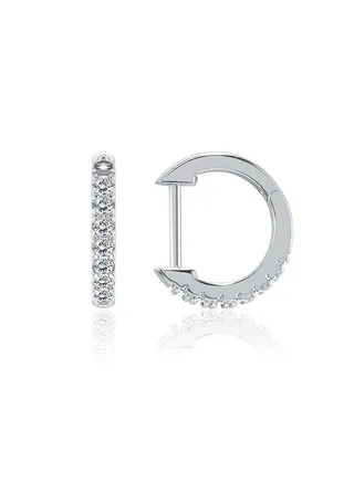 Fashion Ladies Earrings Ake240A 