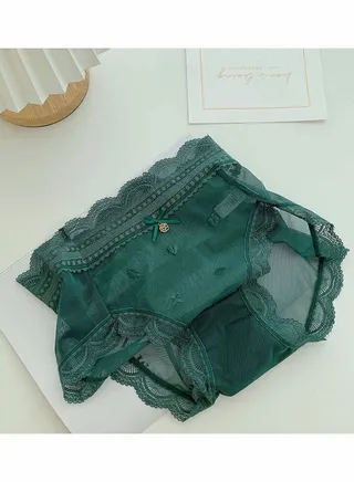 High Waist Embroidered Mesh Lace Ultra Thin Traceless Women's Briefs 