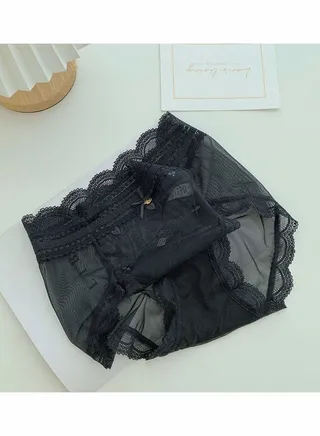 High Waist Embroidered Mesh Lace Ultra Thin Traceless Women's Briefs 