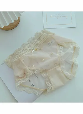 High Waist Embroidered Mesh Lace Ultra Thin Traceless Women's Briefs 