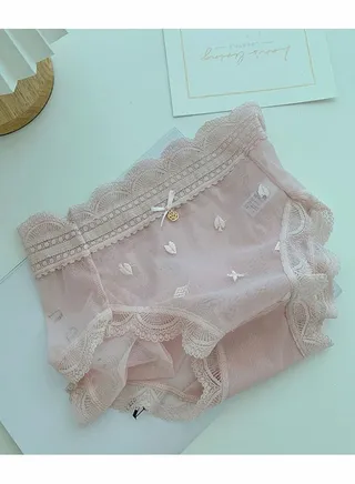 High Waist Embroidered Mesh Lace Ultra Thin Traceless Women's Briefs 