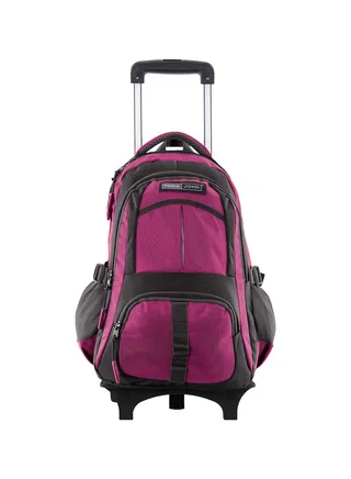 Unisex  Rolling Trolley Backpack with Adjustable Strap for School, College, Office, Business and Travel - 16 Inches Pink 