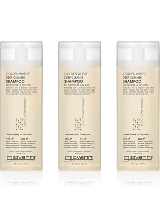 Giovanni Eco Chic Golden Wheat Shampoo - Deep Cleansing with Botanical Oils, 8.5 oz (Pack of 3) 