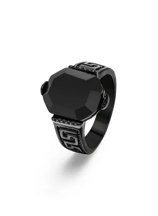 Men's stainless steel ring 