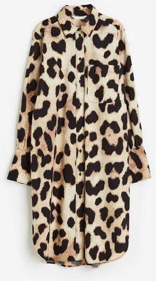 Shirt Dress