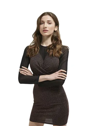 Martina Mini Long Sleeve Dress Bronze/Black 