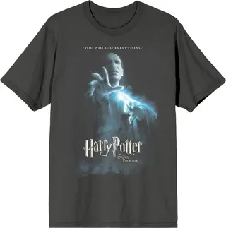 Harry Potter Faded Voldemort With Title Logo Women’s Charcoal Short Sleeve Crew Neck Tee-XXL