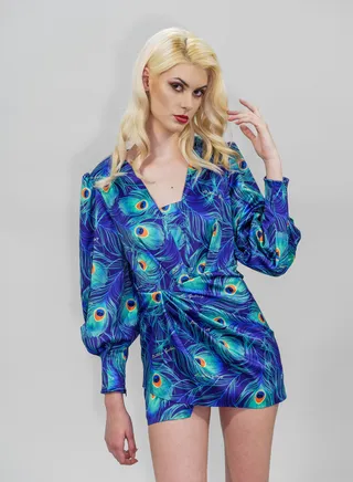 Short Long Sleeves Dress Blue 