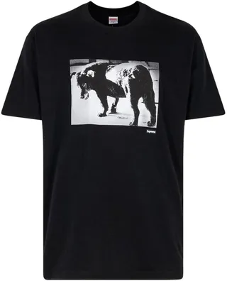 x Daido Moriyama Dog T-shirt