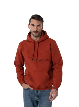 Hoodie Sweatshirt Milton - Capishu -  Color Taupe 